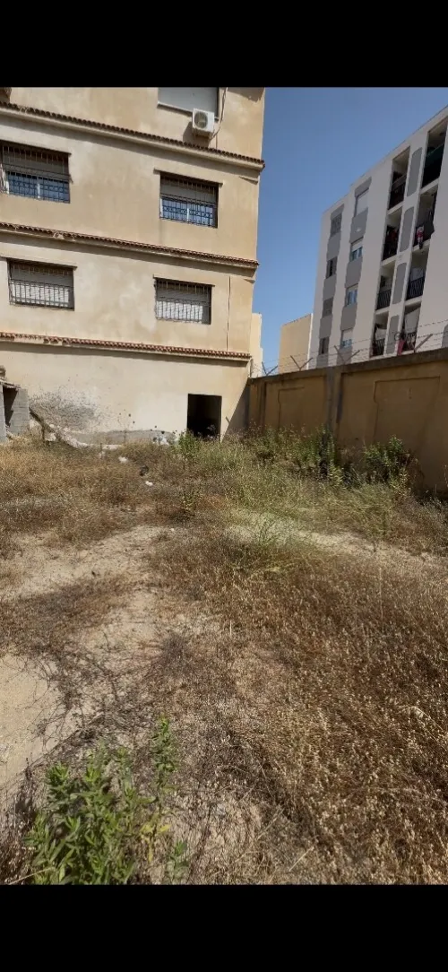 Location Local Alger Birkhadem