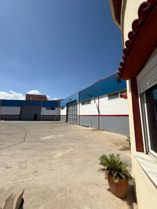 Vente Hangar Boumerdès Ouled moussa