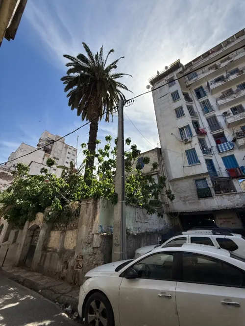 Vente Terrain Alger Sidi mhamed