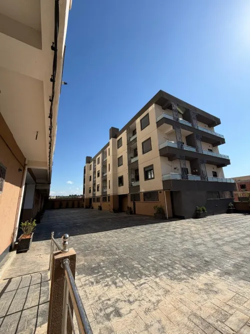 Location Appartement F3 Alger Birkhadem