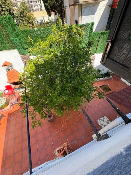 Vente Villa Alger El biar