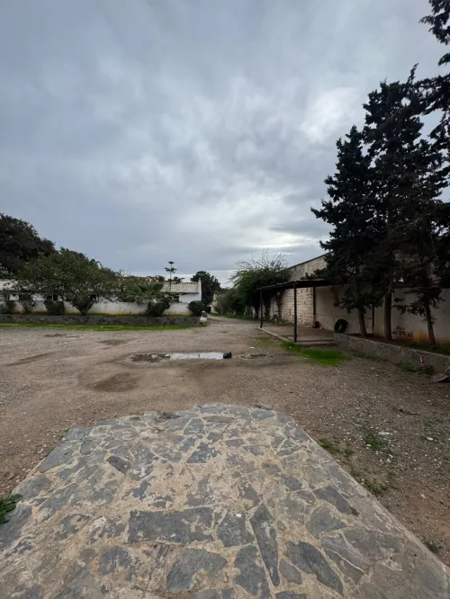 Location Terrain Alger Staoueli