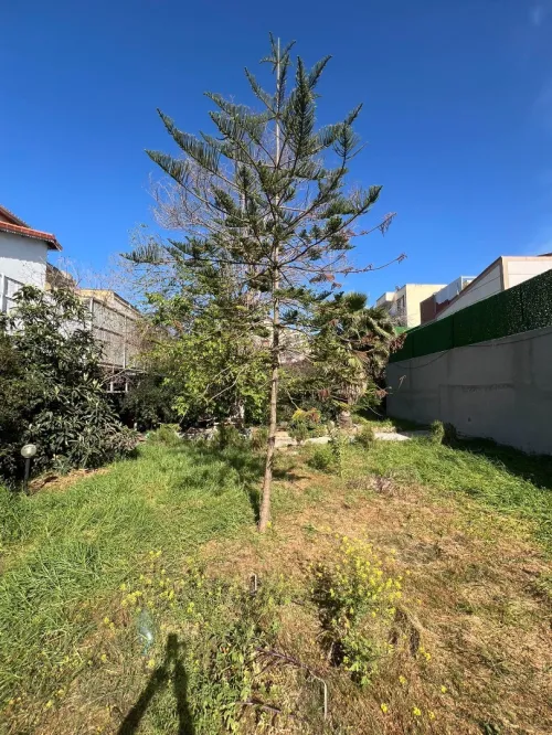 Vente Terrain Alger Mohammadia