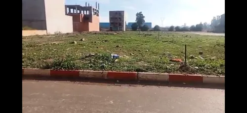 Vente Terrain Alger Tessala el merdja