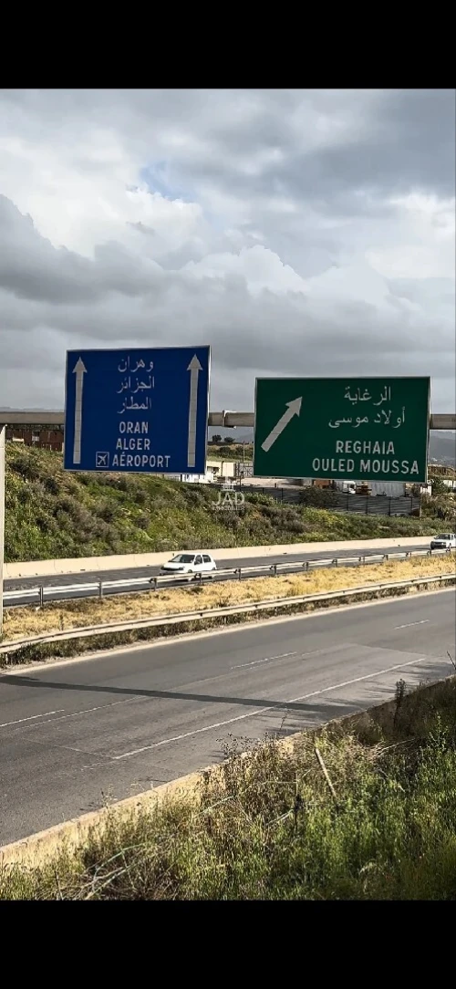 Vente Terrain Boumerdès Ouled moussa