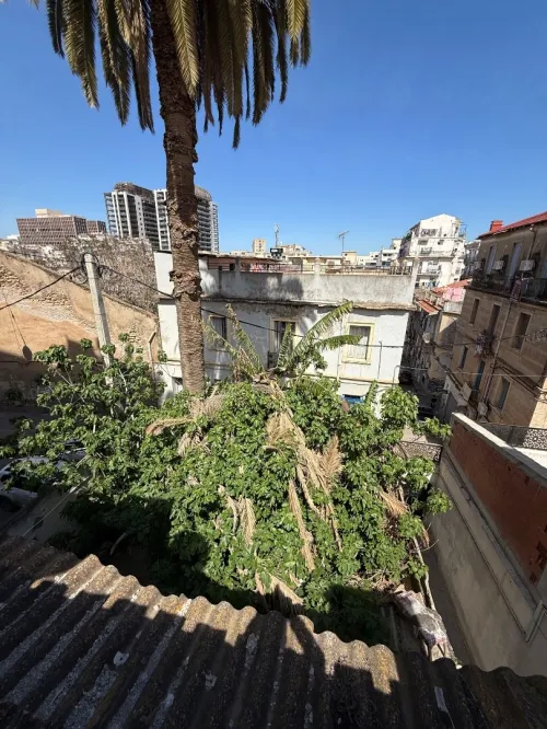 Vente Terrain Alger Sidi mhamed