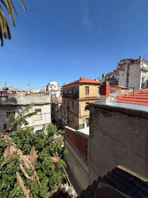 Vente Terrain Alger Sidi mhamed