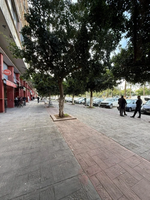 Location Local Alger El harrach
