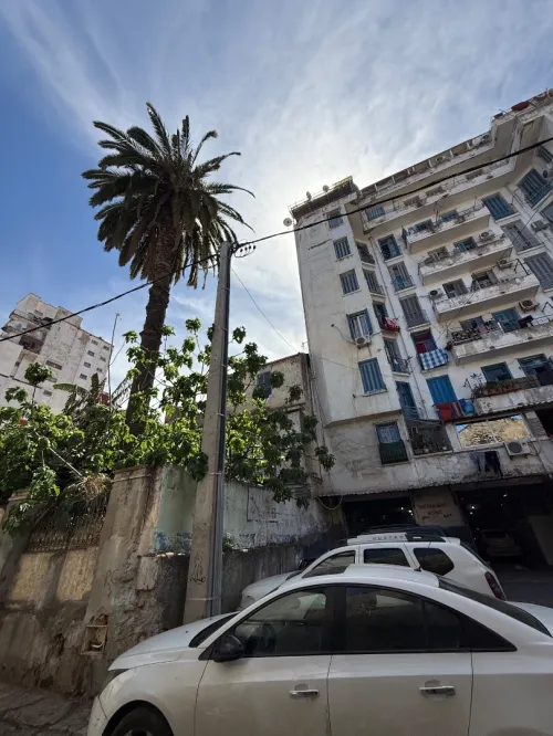 Vente Terrain Alger Sidi mhamed