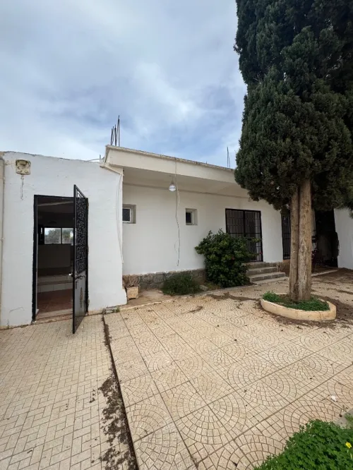 Location Terrain Alger Staoueli