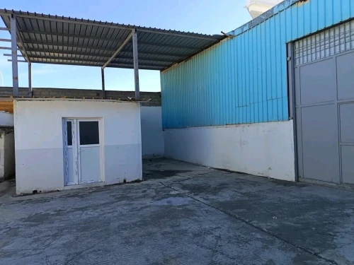 Location Hangar - Usine Blida Blida