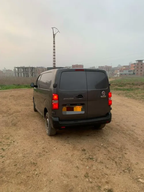 Fiat scoudo 2023 gris
