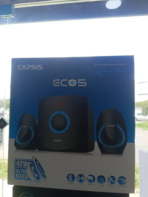 Haut Parleur CAPSYS ECO 5