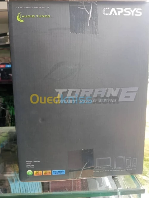 Haut-Parleur CAPSYS TORAN 6