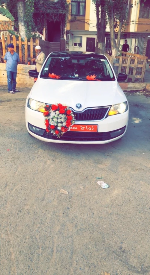 Skoda Rapid Spaceback 2014 Style