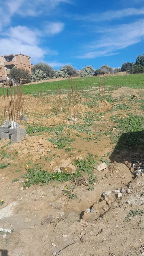 Vente Terrain Blida Larbaa