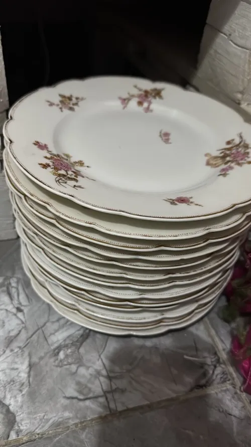 Service 13 assiettes plates et un plat