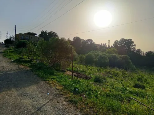 Vente Terrain Alger Souidania