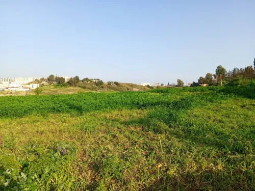Vente Terrain Alger Souidania