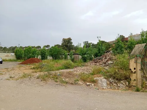 Vente Terrain Tipaza Kolea