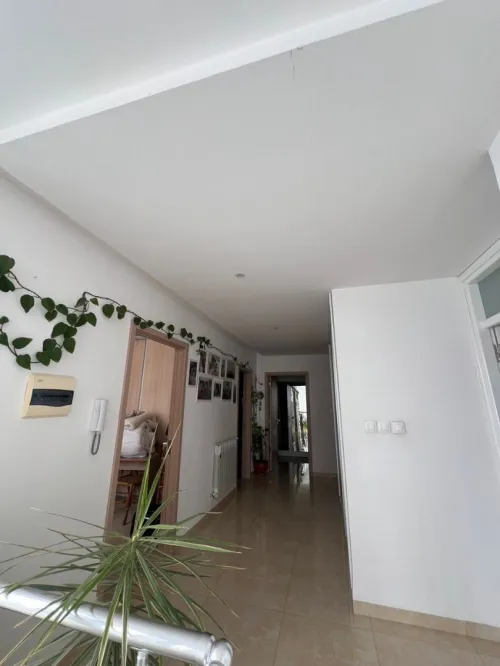 Vente Duplex F7 Alger Cheraga