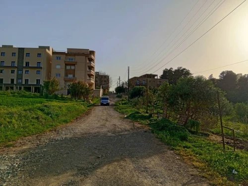 Vente Terrain Alger Souidania