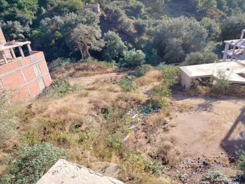 Vente Terrain Alger Bouzareah