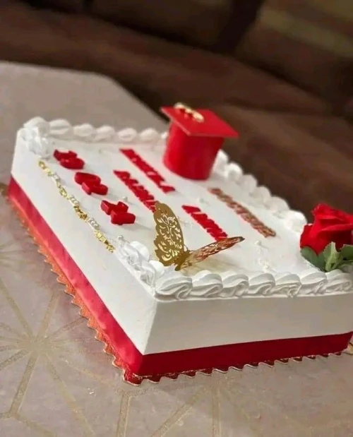 cake design de soutenance/layer cake/gâteaux d'anniversaire/gâteaux de soutenance