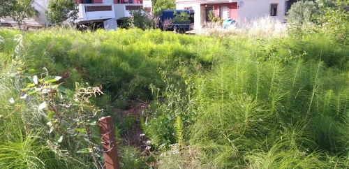 Vente Terrain Béjaïa Tichy