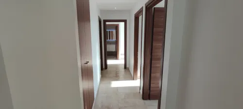 Location Appartement F4 Alger Dely brahim