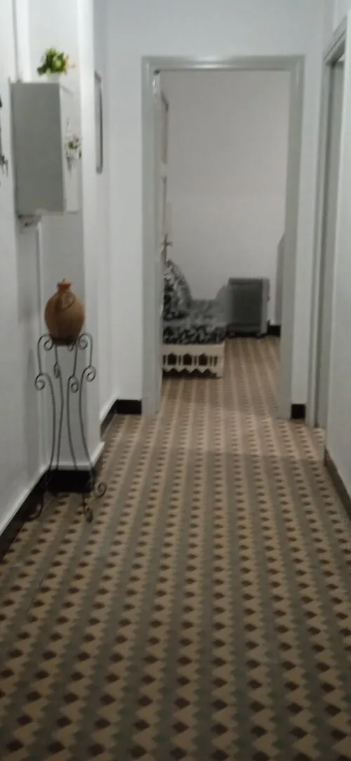 Location Appartement Studio Alger Alger centre