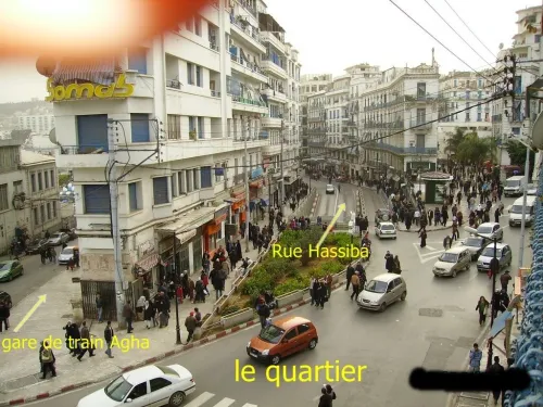 Location Appartement Studio Alger Alger centre