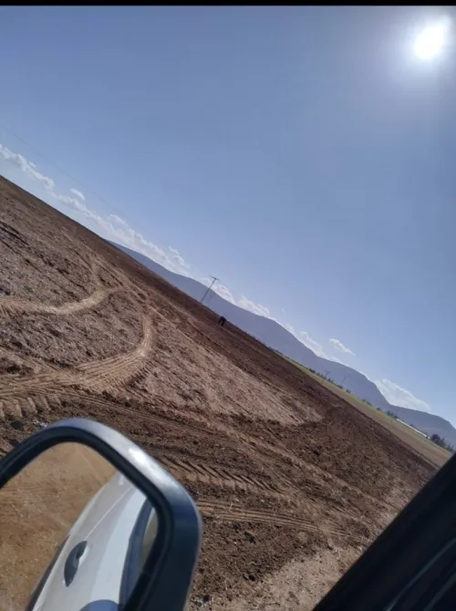 Vente Terrain Agricole Tlemcen Sidi abdelli