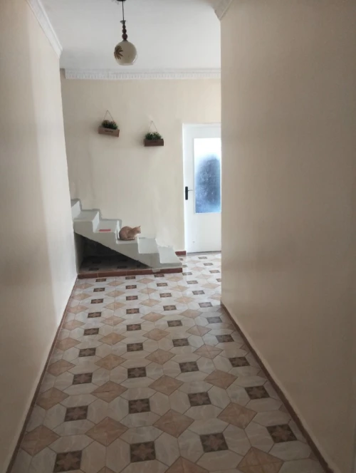 Vente Immeuble Oran Oran