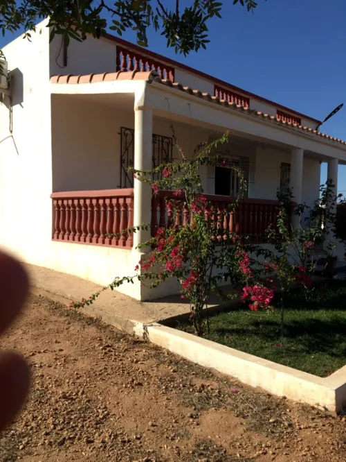 Vente Terrain Tlemcen Maghnia
