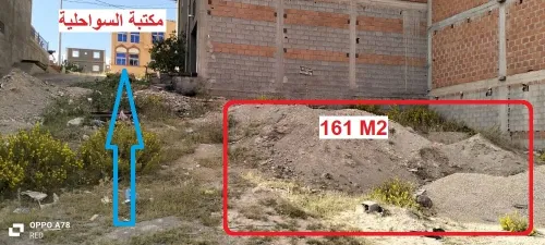 Vente Terrain Tlemcen Souahlia
