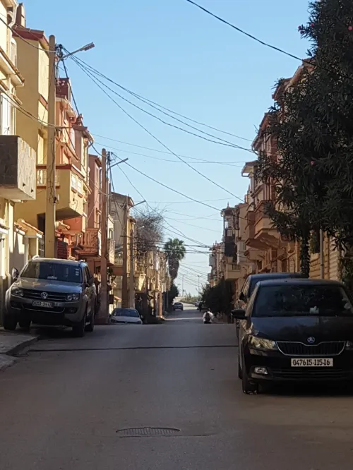 Vente Villa Alger El marsa