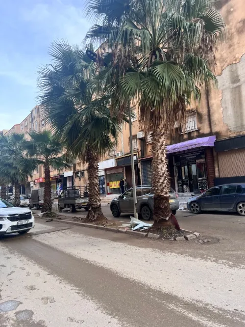 Location Appartement F3 Alger Bordj el bahri