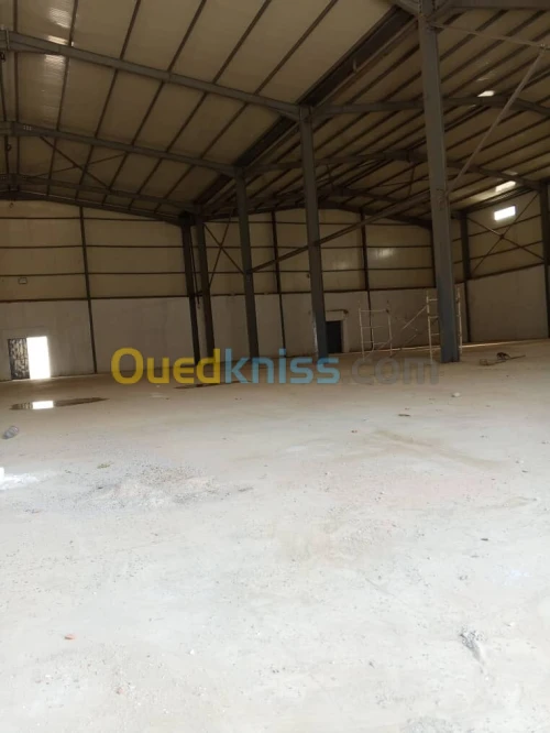 Location Hangar Blida Larbaa