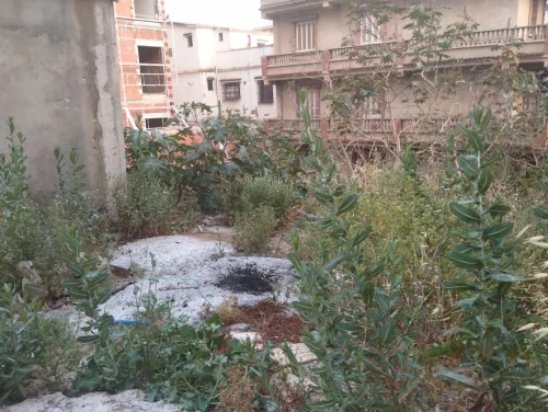 Vente Terrain Alger Ouled fayet