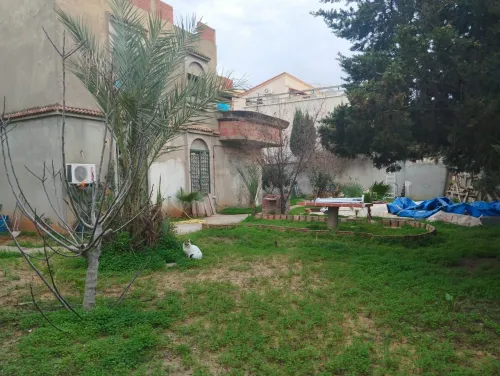 Vente Terrain Alger Cheraga