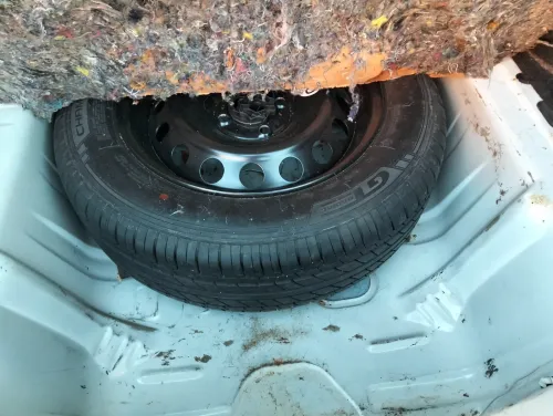 Renault Symbol 2019 Extrême