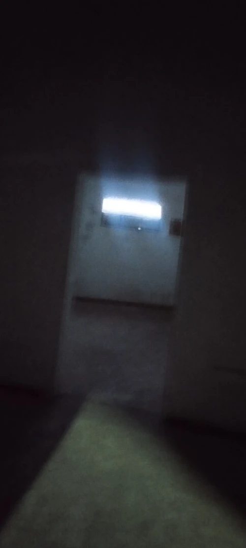 Location Local Biskra Biskra
