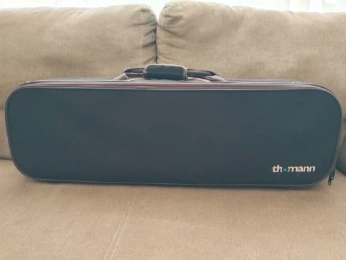 Violon 4/4 professionnel 