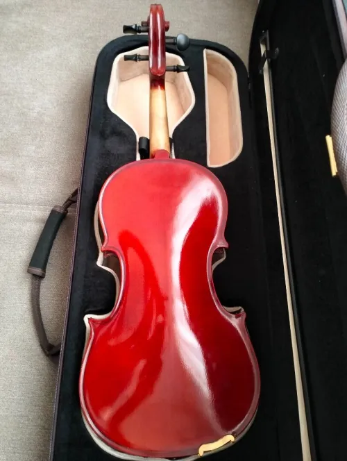 Violon 4/4 professionnel 