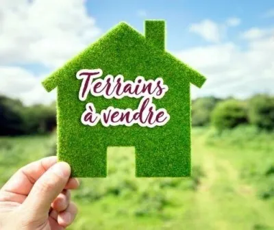 Vente Terrain Alger Bouzareah