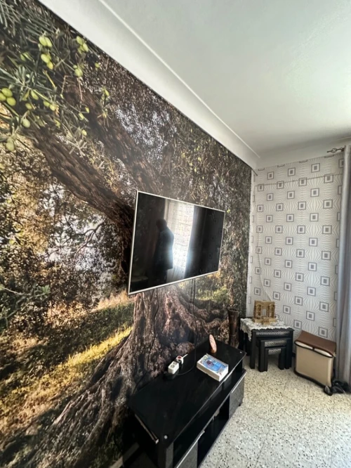 Vente Villa Alger Bordj el kiffan
