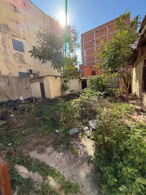 Vente Terrain Alger Bordj el kiffan