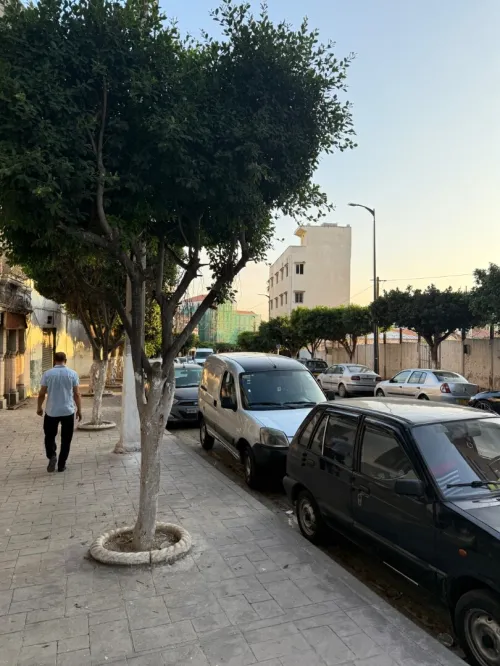 Location Local Alger El harrach