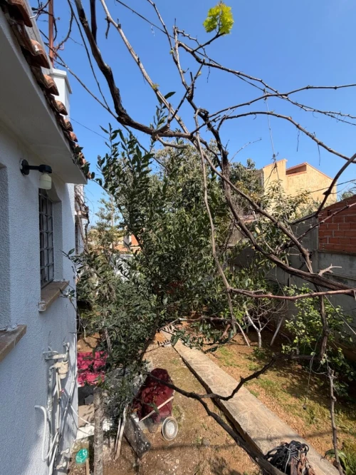 Vente Villa Tipaza Bou haroun